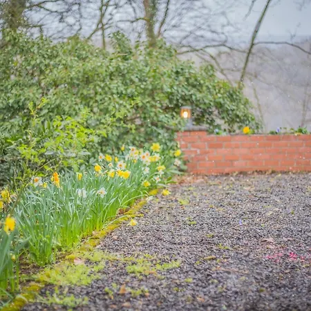 La Emilie דורבורי